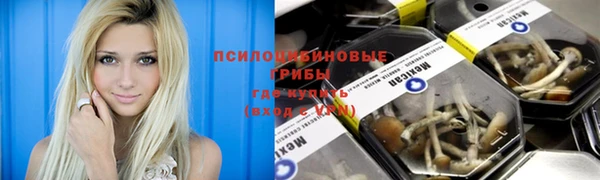 mdpv Нефтегорск
