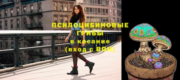 apvp Нефтекумск
