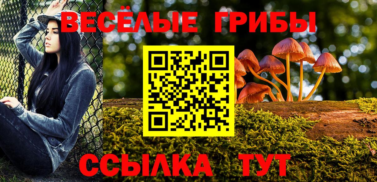 Галлюциногенные грибы прущие грибы Железногорск
