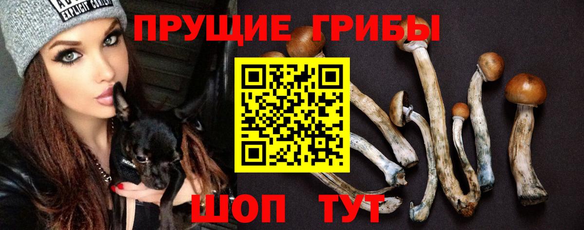 Железногорск  Псилоцибиновые грибы GOLDEN TEACHER  Вход с VPN  Псилоцибиновые грибы мухоморы 